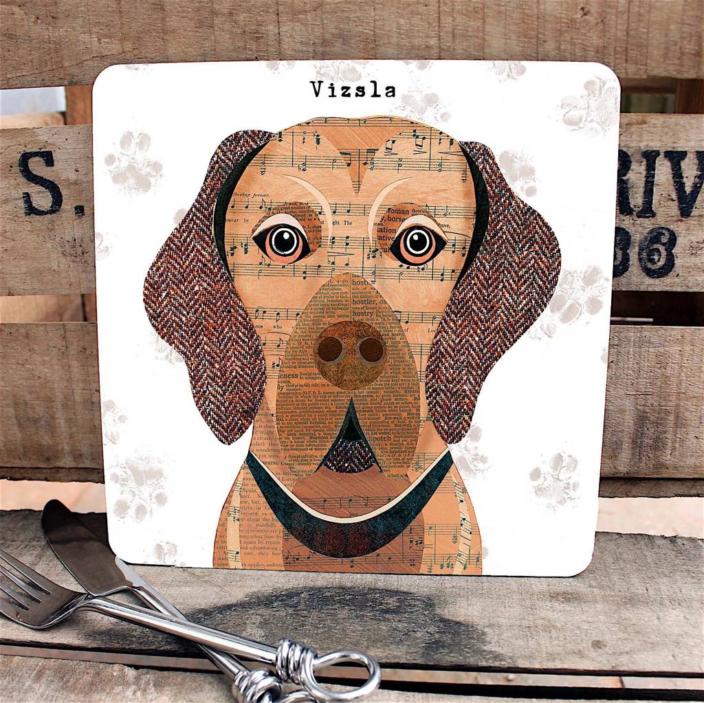 Vizsla Personalised Dog Placemat/Coaster By Simon Hart