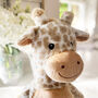 Personalised Giraffe Teddy Optional Voice Recorder Or Ashes Tin, thumbnail 2 of 8