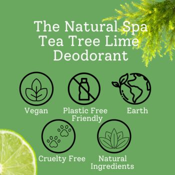 Tea Tree Lime Cream Dedorant Balm Vegan Palm Free, 6 of 8