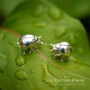 Sterling Silver/18ct Gold Plated Ladybug Earrings, thumbnail 1 of 5