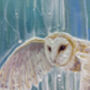 The Owls Symphony, thumbnail 8 of 10