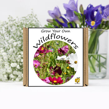 Gardening Gift. Grow Your Own Wildflower Seeds Kit, 2 of 3