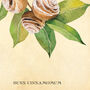 Botanical Cinnamon Roll Art Print, thumbnail 10 of 10