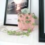 String Of Hearts Trailing Indoor Plant In8.5cm Pot, thumbnail 1 of 9