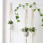 Pack Of Three Indoor Wall Hanging Planter Basket, thumbnail 4 of 5