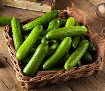 Cucumber 'Tribute' Three Plug Plant Pack, 3 of 6