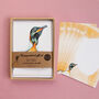 Inky Penguin Luxury Postcards, thumbnail 12 of 12