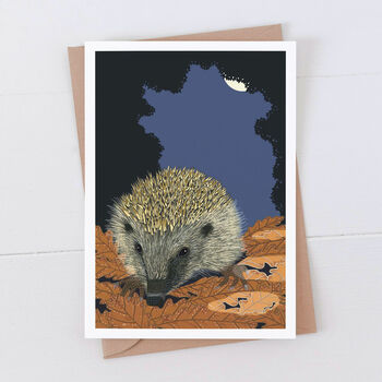 Hedgehog Print Gift Wrap Pack With Card Option, 3 of 5