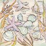 'Seashells' Print, thumbnail 3 of 3