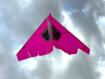 Custom Printed Delta Kite, 3 of 10