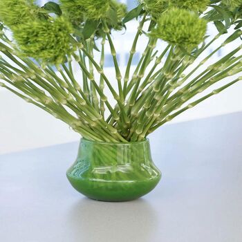 Glass Orchid Pot Marco Jungle Green, 5 of 5