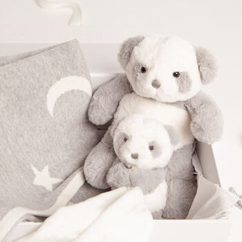 Panda Toy, Blanket And Comforter Baby Gift Set, 3 of 4