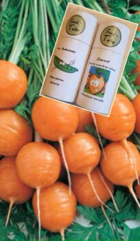 Gift Set For Children Pea And Carrot Seedlings Gift Set, 4 of 9