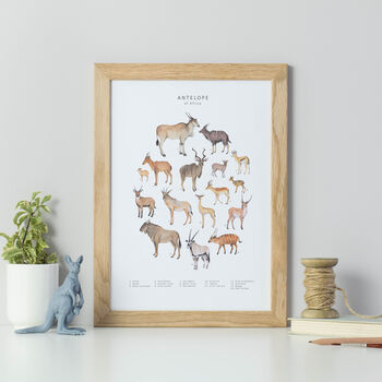 Antelope Animal Print, 3 of 4