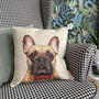 French Bulldog Cushion, thumbnail 3 of 8