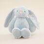 Personalised Blue Bunny Soft Toy, thumbnail 1 of 5
