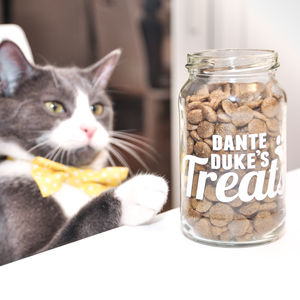 cat treat jar diy