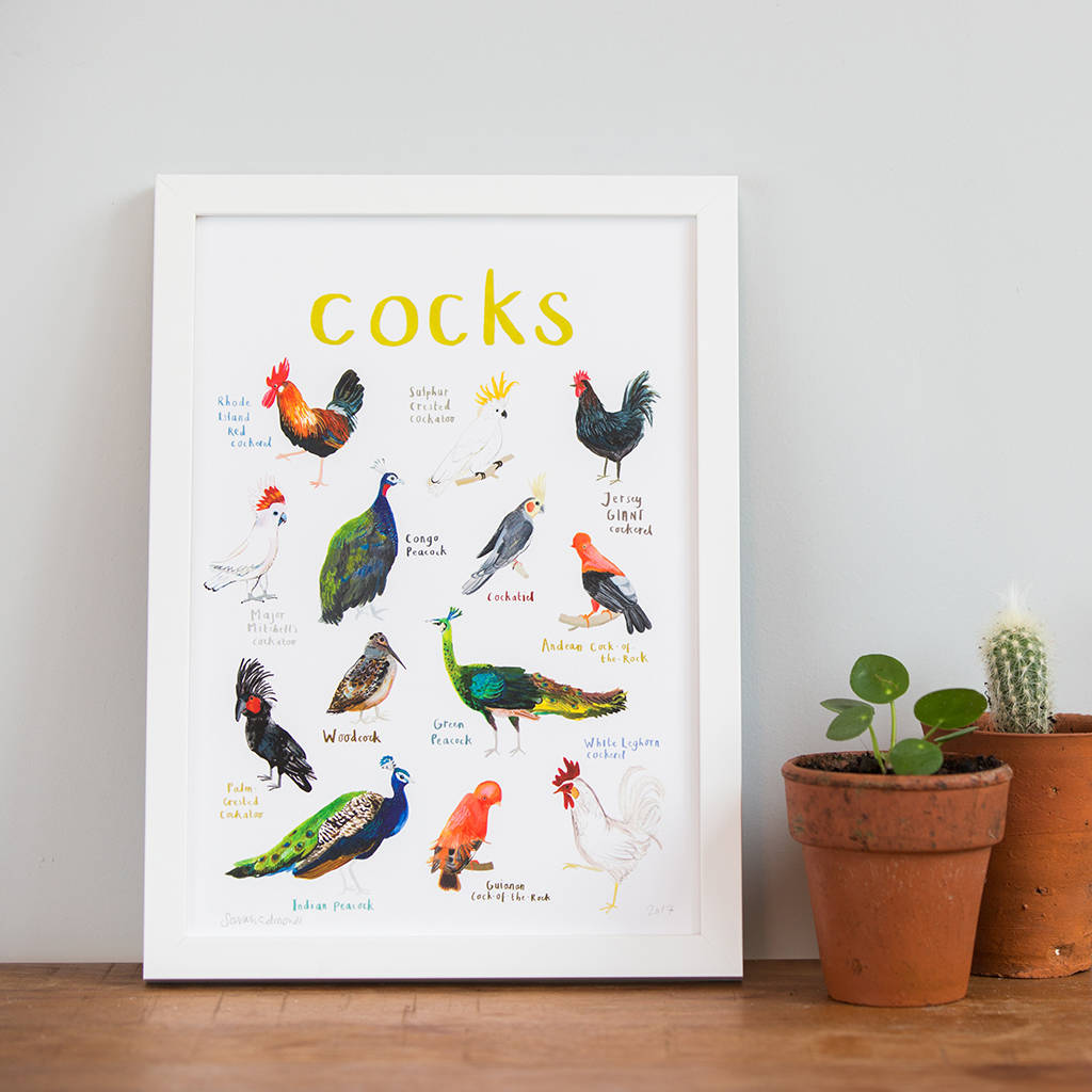 'Cocks' Illustrated Bird Art Print, 1 of 3