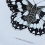 Marbled White Illustrated Butterfly Print, thumbnail 2 of 5