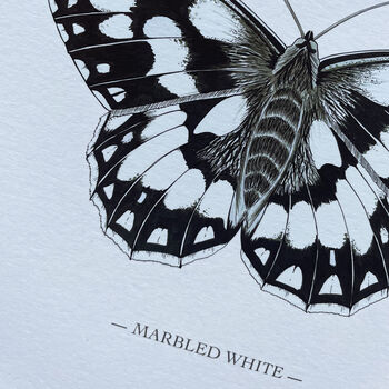Marbled White Illustrated Butterfly Print, 2 of 5
