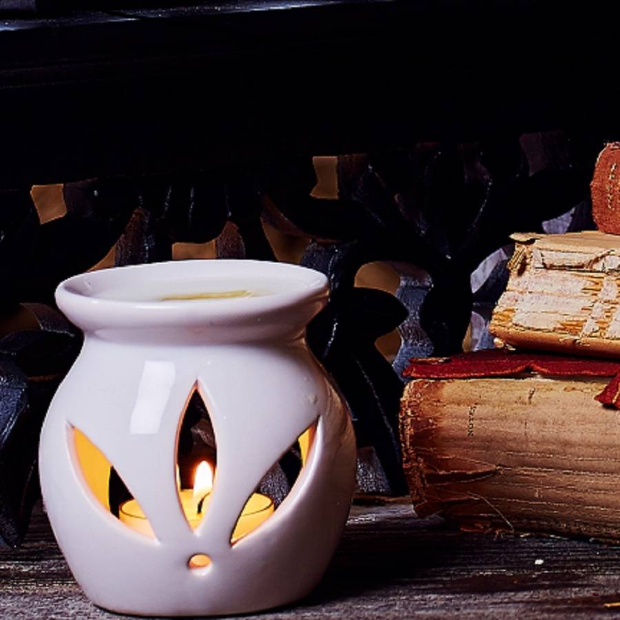 Aromatherapy Oil Burner And Six Luxury Wax Melts By Wild