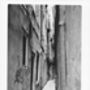Venice Tryptic Signed Silver Gelatin Prints, thumbnail 5 of 5