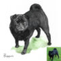 Personalised Watercolour Pet Portrait, thumbnail 8 of 12