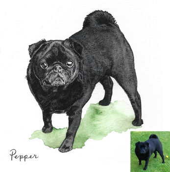 Personalised Watercolour Pet Portrait, 8 of 12