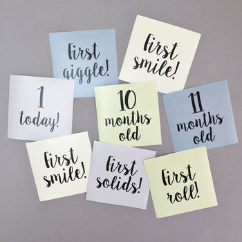 My First Year Milestone Stickers, 4 of 6