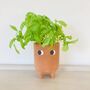 Terracotta Planter, thumbnail 1 of 4