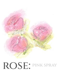 Sample Pack Original Botanical Wedding Stationery, 9 of 10