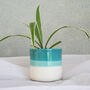 Small Blue Planter Ceramic Succulent Pot, thumbnail 3 of 3