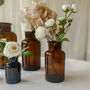 Amber Brown Glass Apothecary Bottles Set Of Five, thumbnail 5 of 12