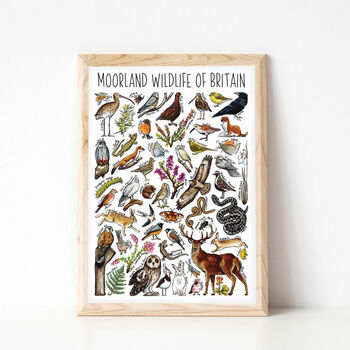 Moorland Wildlife Of Britain Wildlife Print, 6 of 9