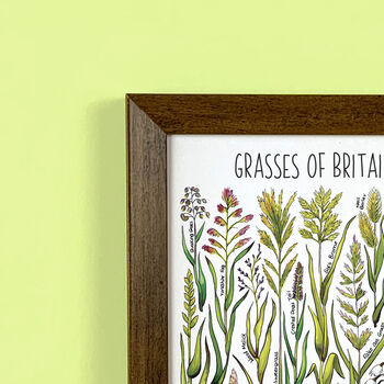 Grasses Of Britain Wildlife Print, 3 of 9