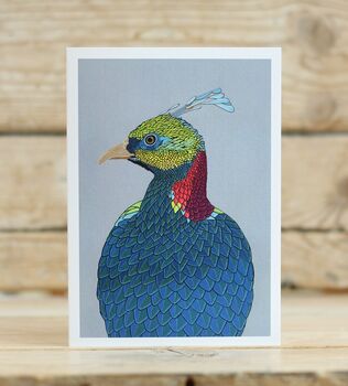 A Pack Of Four Mixed Exotic Pheasant Cards, 5 of 5