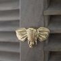 Solid Brass Elephant Drawer Cabinet Knob, thumbnail 2 of 3