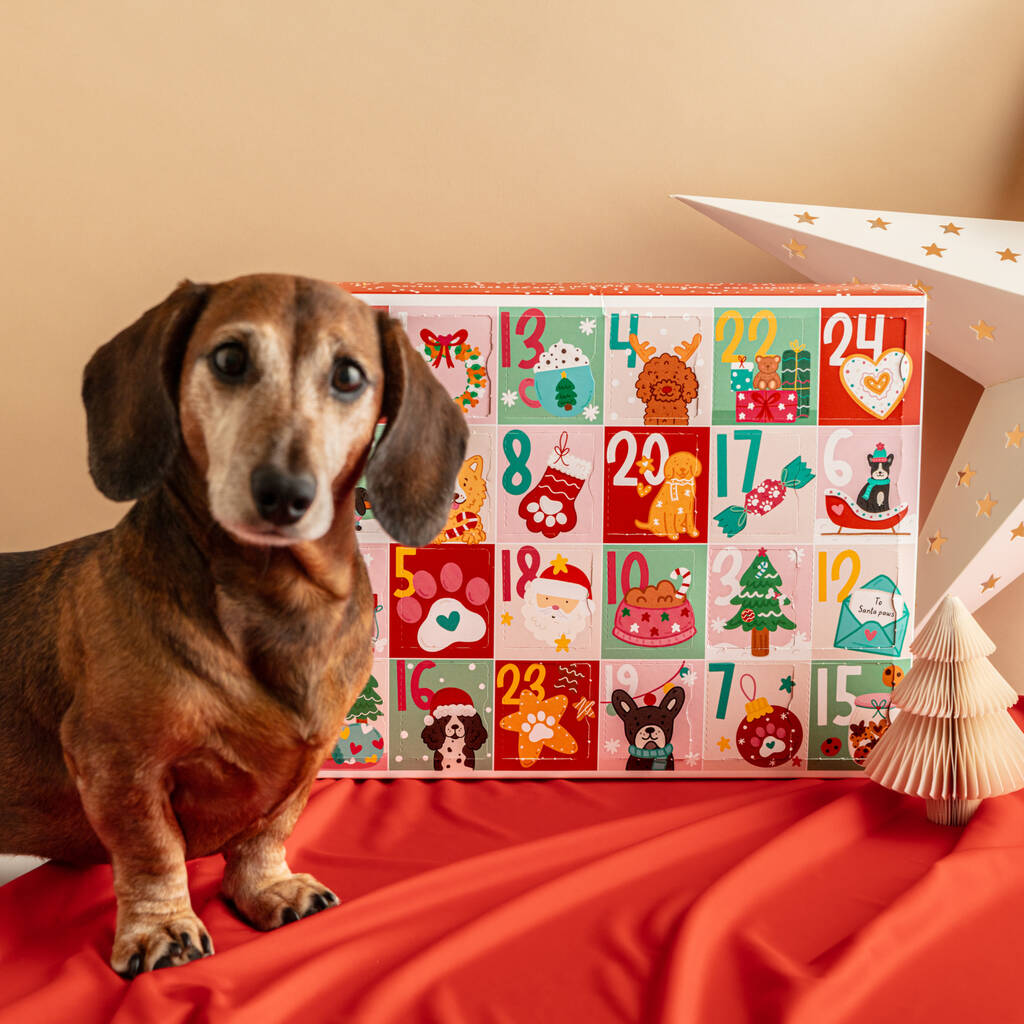 Exclusive Christmas Advent Calendar For Dogs, 1 of 11