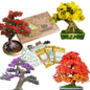 Grow Your Own Bonsai Tree Houseplant Gift Set, thumbnail 1 of 6