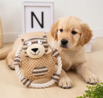 Natural Dog Pamper Gift Box | Organic Balm, Blanket, Toys, Bamboo Grooming Set Eco Friendly Puppy Spa Care Package, 6 of 7