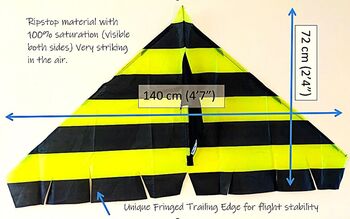 Delta Kite The Bee By Morgan Kites, 3 of 9