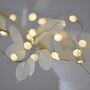 Teardrop White Fairy Lights, thumbnail 3 of 3