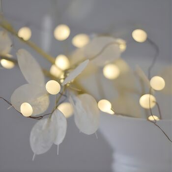 Teardrop White Fairy Lights, 3 of 3
