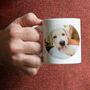 Personalised Pet Lover Photo Mug, thumbnail 1 of 9