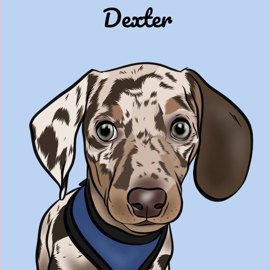 Personalised Digital Pet Illustration, 1 of 5
