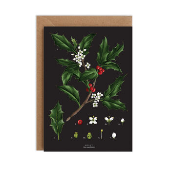 Botanical Christmas Card, Holly, 2 of 2