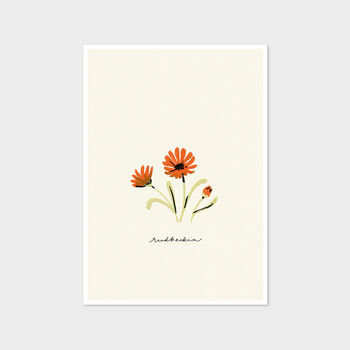 Orange Rudbeckia Cottage Garden Botanical Print, 3 of 4