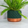 Forest Ananas Planter, thumbnail 4 of 4