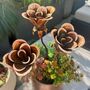 Set Of Three Mini Copper Rose Garden Planter Stakes, thumbnail 6 of 9
