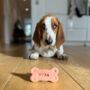 Personalised Plant Based Dog Bone Biscuit Treats, thumbnail 4 of 11